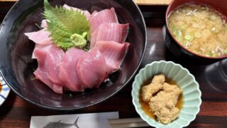 沖縄の旬の魚